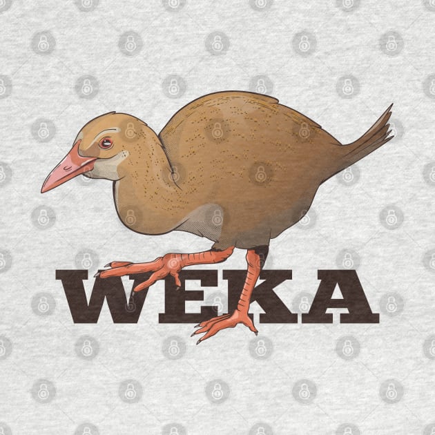 Weka NZ bird by mailboxdisco